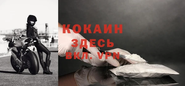 шишки Баксан