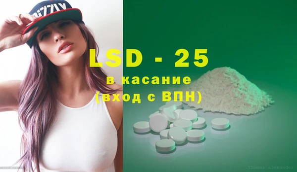 шишки Баксан
