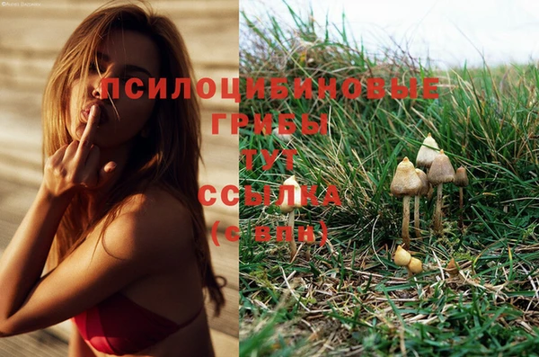 шишки Баксан