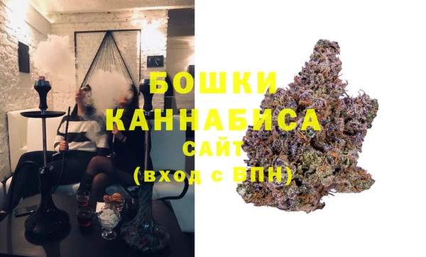 шишки Баксан