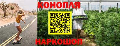 молекула духа Пугачёв