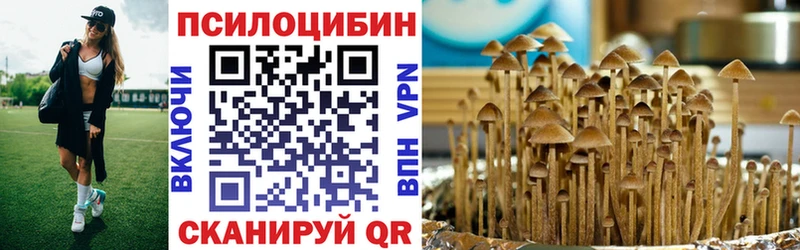 наркота  Черняховск  Галлюциногенные грибы GOLDEN TEACHER 