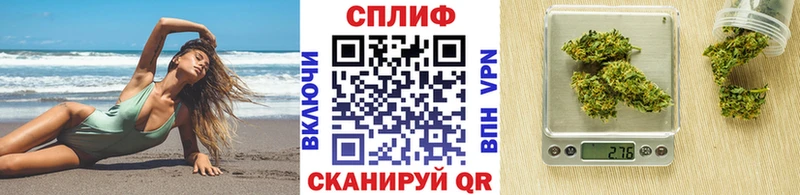 Каннабис план  Черняховск 